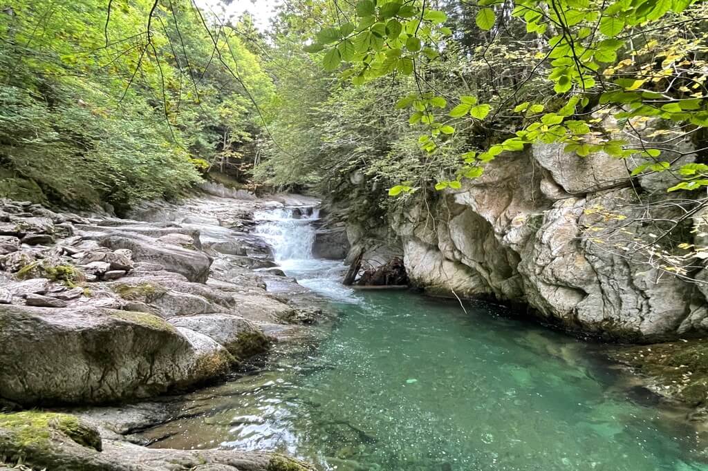 selva irati autocaravana